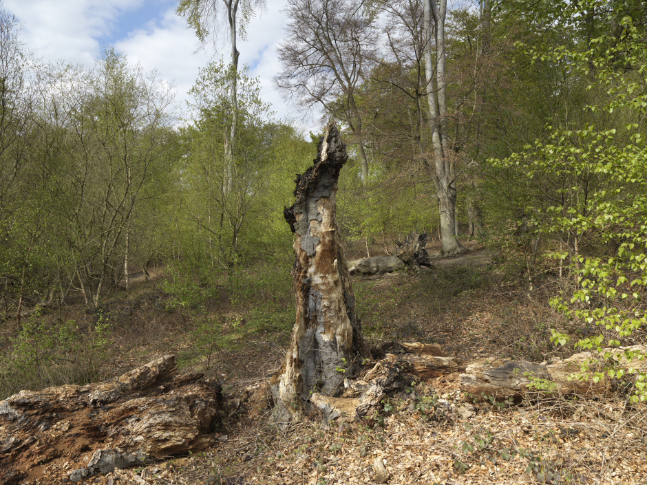 ART3516_0709_565015_crop253F